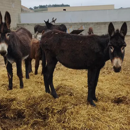 Turismo E Dos Lagos Do Sabor - Piscina &