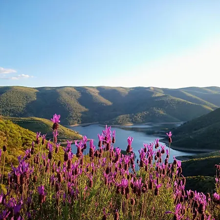 Turismo E Dos Lagos Do Sabor - Piscina & Σπίτι διακοπών Meirinhos
