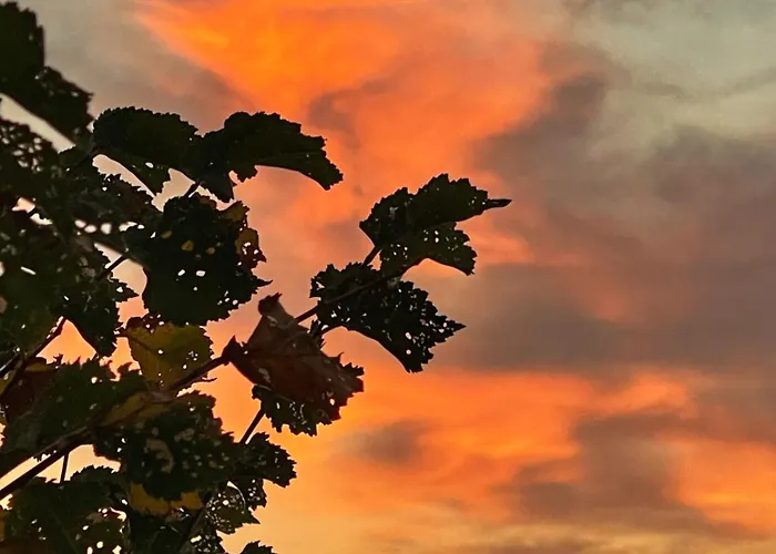 Tatil Evi Turismo E Dos Lagos Do Sabor - Piscina & Meirinhos