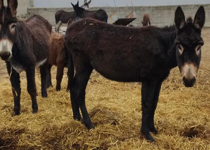 Turismo E Dos Lagos Do Sabor - Piscina &