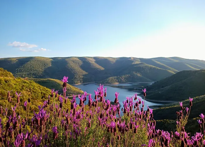 Turismo E Dos Lagos Do Sabor - Piscina & Tatil Evi Meirinhos